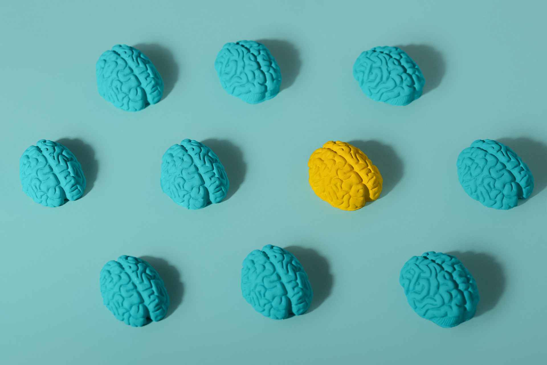 How Movement Shapes the Brain: The Overlooked Cognitive Benefits of Physical Activity